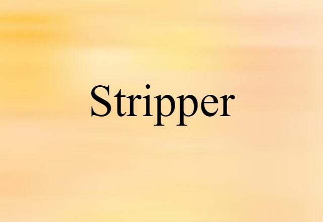 Stripper (noun) Definition, Meaning & Examples