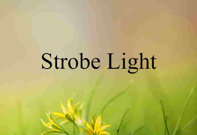 Strobe Light (noun) Definition, Meaning & Examples