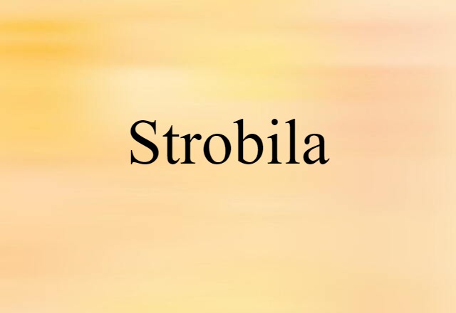 strobila