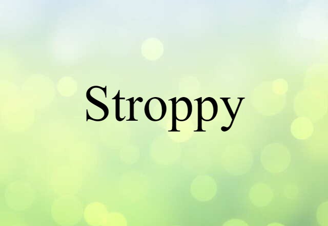 Stroppy (noun) Definition, Meaning & Examples