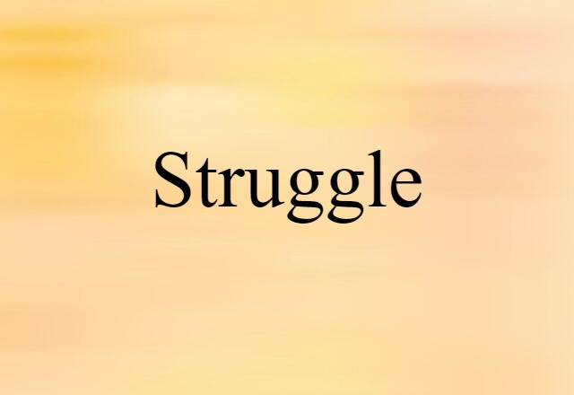 Struggle (noun) Definition, Meaning & Examples