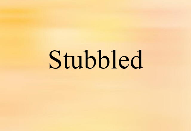 Stubbled (noun) Definition, Meaning & Examples