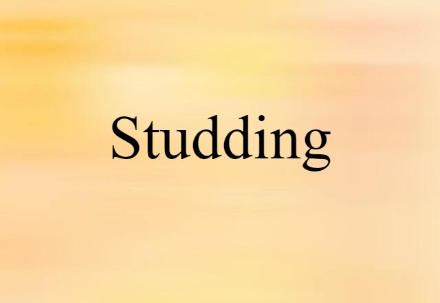 Studding (noun) Definition, Meaning & Examples