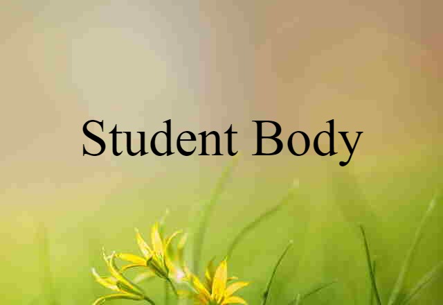 Student Body (noun) Definition, Meaning & Examples