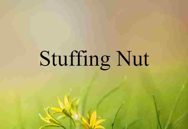 Stuffing Nut (noun) Definition, Meaning & Examples