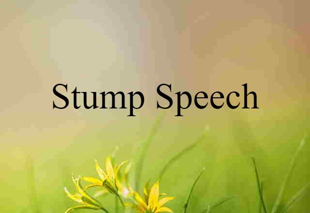 Stump Speech (noun) Definition, Meaning & Examples