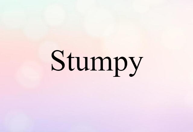 Stumpy (noun) Definition, Meaning & Examples