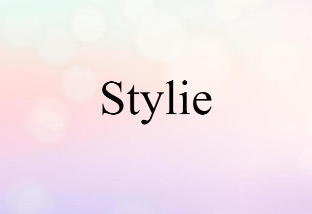 Stylie (noun) Definition, Meaning & Examples