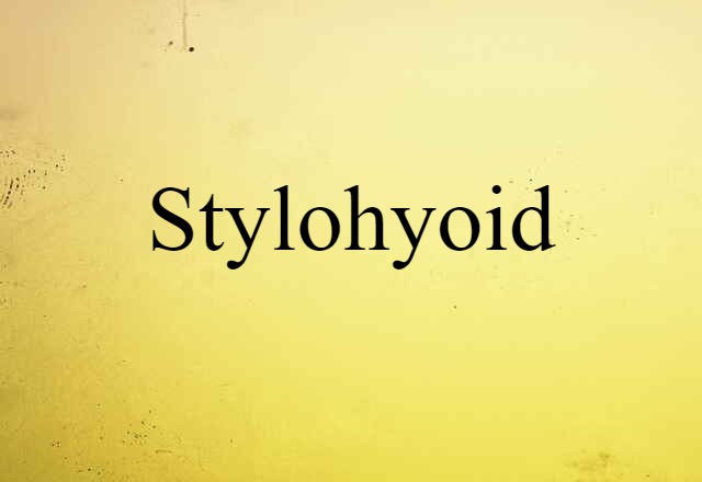 Stylohyoid (noun) Definition, Meaning & Examples