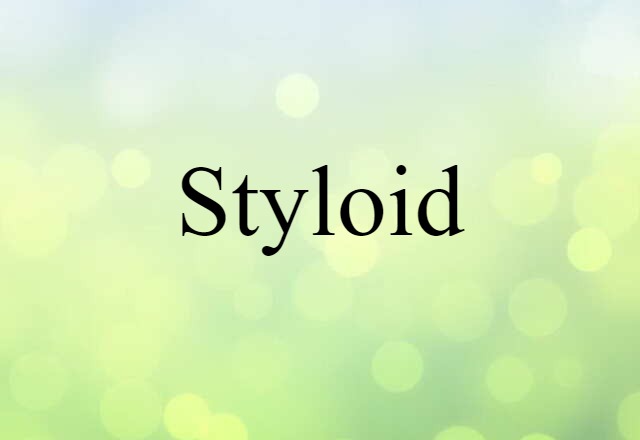 Styloid (noun) Definition, Meaning & Examples