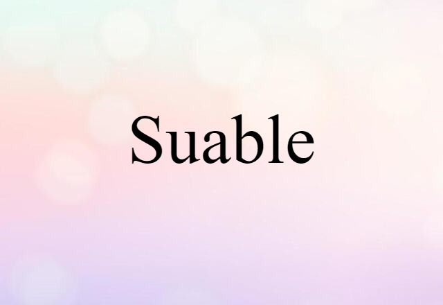 Suable (noun) Definition, Meaning & Examples