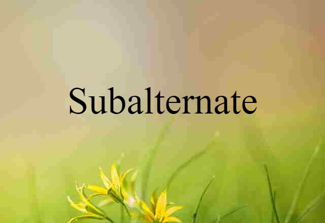 Subalternate (noun) Definition, Meaning & Examples