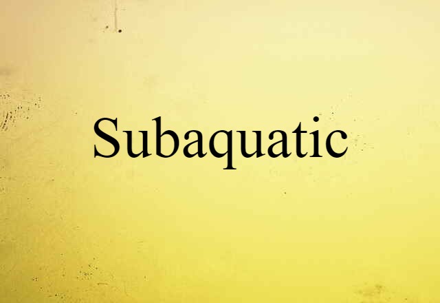 Subaquatic (noun) Definition, Meaning & Examples