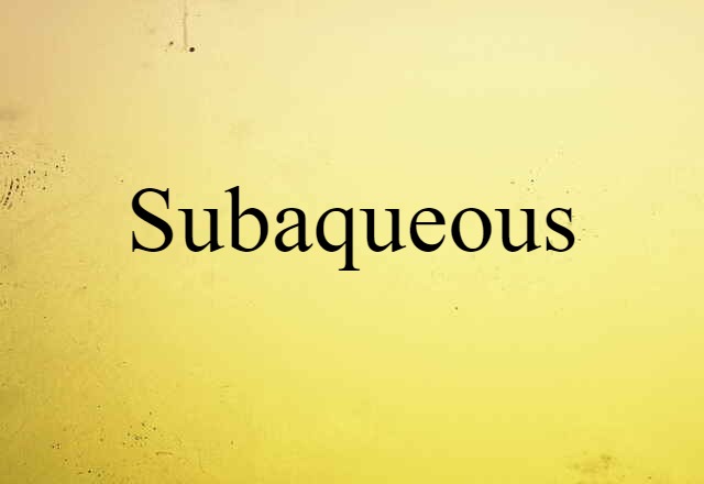 Subaqueous (noun) Definition, Meaning & Examples