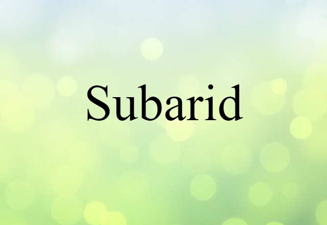 Subarid (noun) Definition, Meaning & Examples