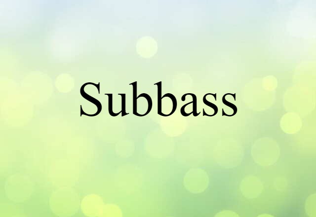 Subbass (noun) Definition, Meaning & Examples