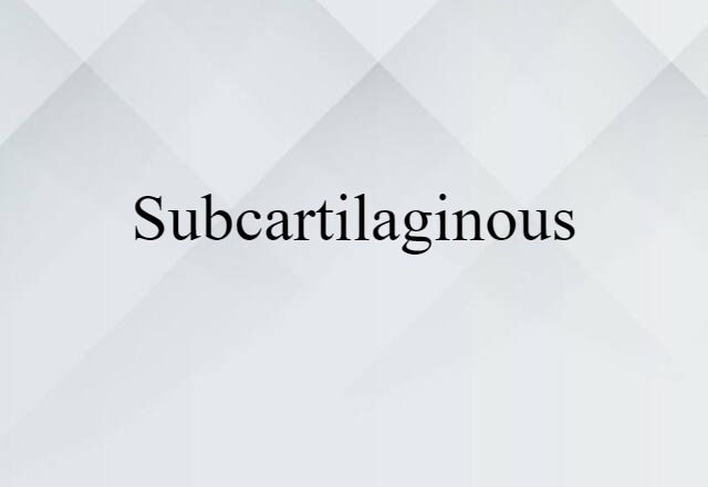 Subcartilaginous (noun) Definition, Meaning & Examples