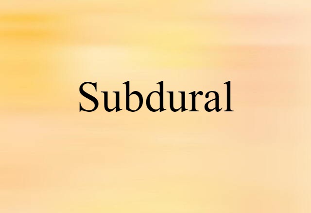 Subdural (noun) Definition, Meaning & Examples