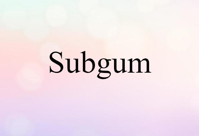 Subgum (noun) Definition, Meaning & Examples