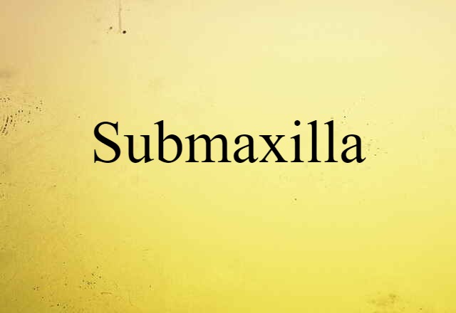 Submaxilla (noun) Definition, Meaning & Examples