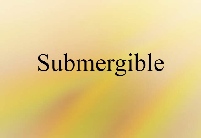 Submergible (noun) Definition, Meaning & Examples