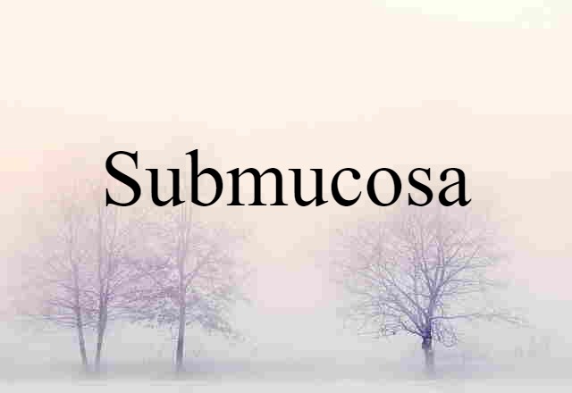 submucosa