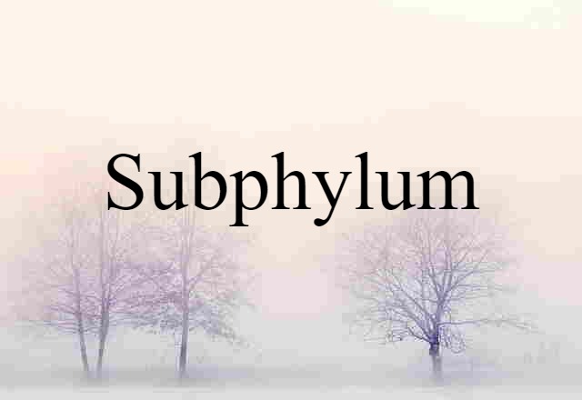 Subphylum (noun) Definition, Meaning & Examples