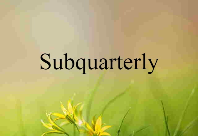 Subquarterly (noun) Definition, Meaning & Examples