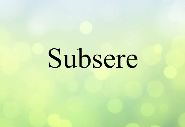 Subsere (noun) Definition, Meaning & Examples