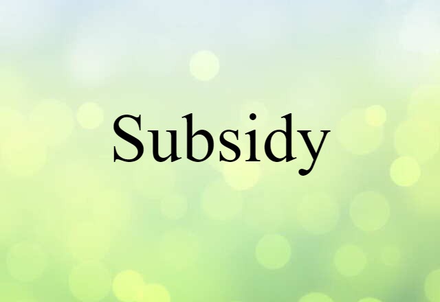 Subsidy (noun) Definition, Meaning & Examples