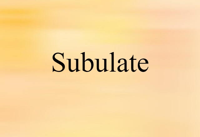 subulate