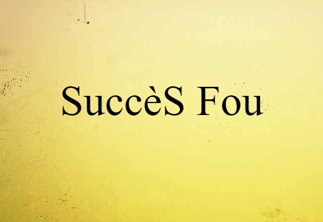 Succès Fou (noun) Definition, Meaning & Examples