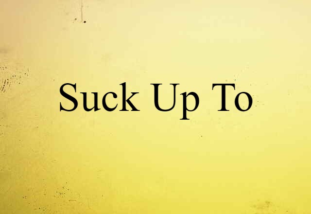 suck up to