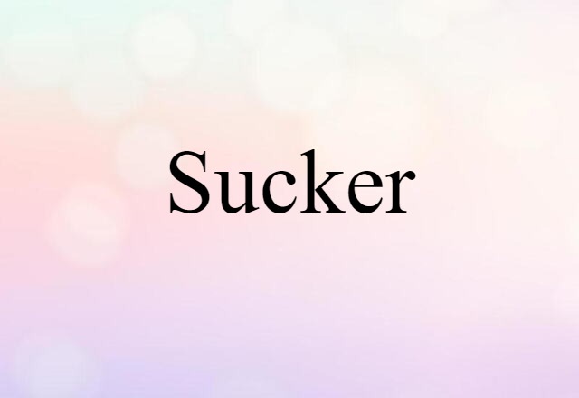 sucker