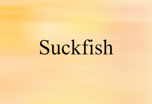 Suckfish (noun) Definition, Meaning & Examples