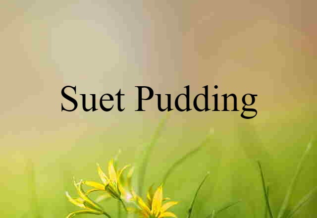 suet pudding