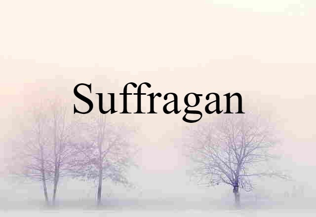 Suffragan (noun) Definition, Meaning & Examples