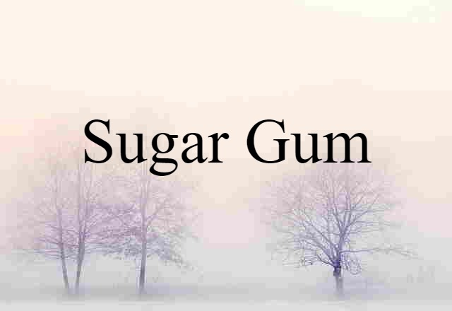 sugar gum