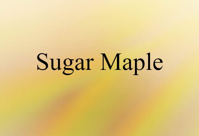 Sugar Maple (noun) Definition, Meaning & Examples