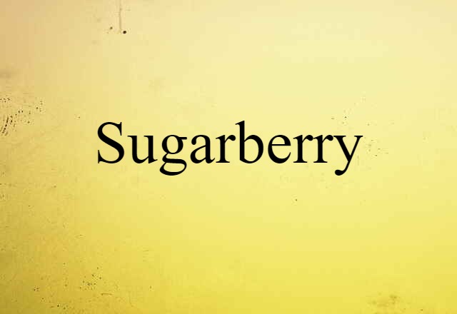 sugarberry