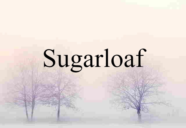 Sugarloaf (noun) Definition, Meaning & Examples