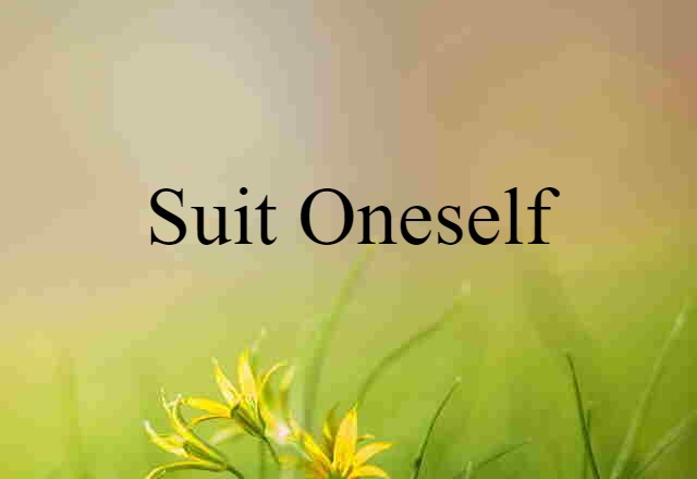 Suit Oneself (noun) Definition, Meaning & Examples