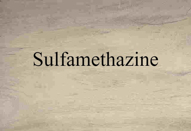 Sulfamethazine (noun) Definition, Meaning & Examples