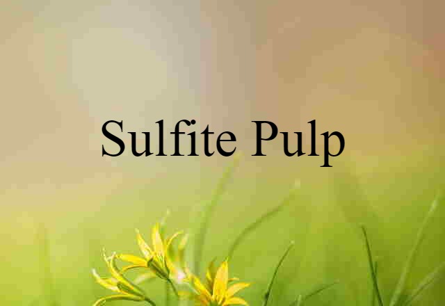 Sulfite Pulp (noun) Definition, Meaning & Examples