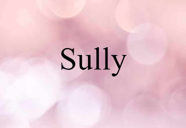 Sully (noun) Definition, Meaning & Examples