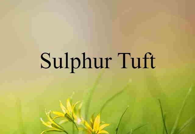 sulphur tuft