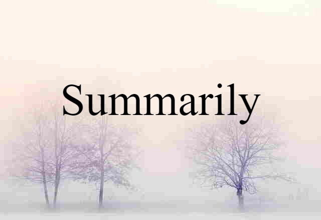 Summarily (noun) Definition, Meaning & Examples