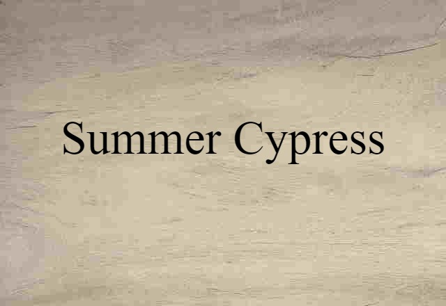 summer cypress