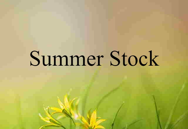 Summer Stock (noun) Definition, Meaning & Examples