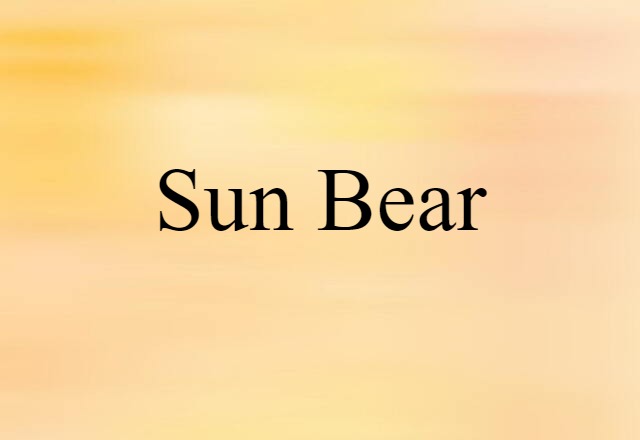 Sun Bear (noun) Definition, Meaning & Examples